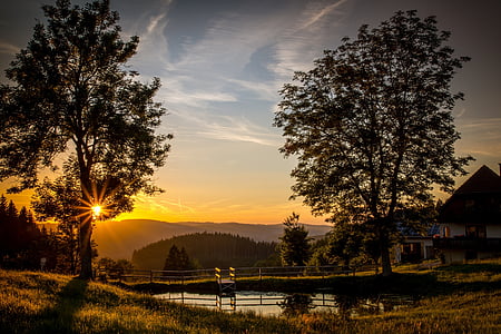 sunset with two trees and one bridge thumbnail
