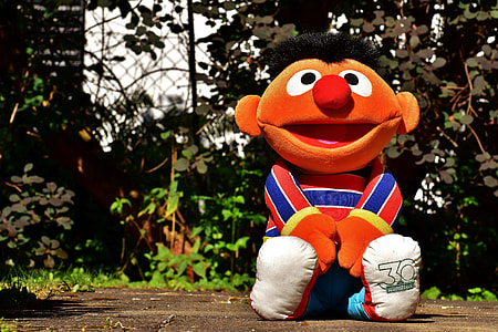 Sesame Street pluhs toy on ground thumbnail