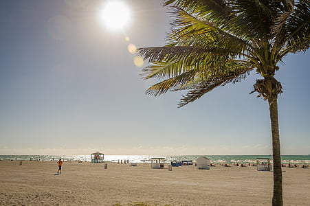 group of people on the beach during daytime thumbnail
