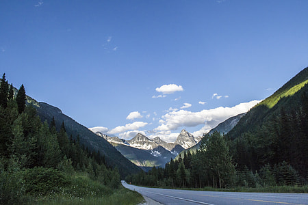 landscape of mountain and trees thumbnail