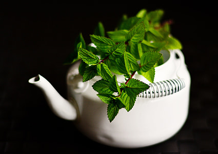 green leaves in white ceramic teapot thumbnail
