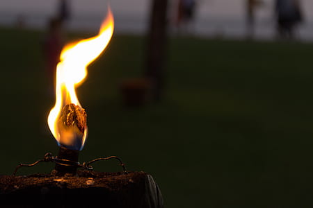 light, holiday, night, dark thumbnail