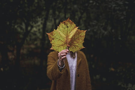 Holding Giant Leaf Photo thumbnail