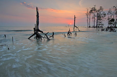 sea, dawn, landscape, nature thumbnail