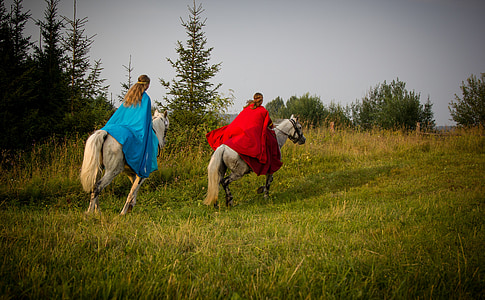 two person riding horse on green grass field thumbnail