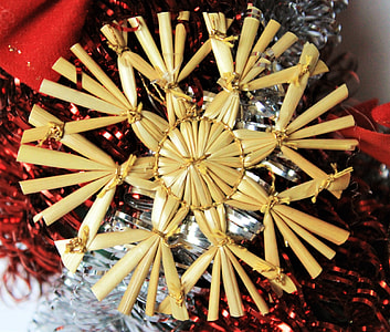 Poinsettia, Christmas thumbnail