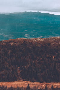 aerial photography of land thumbnail