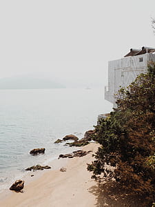 seashore near ocean thumbnail