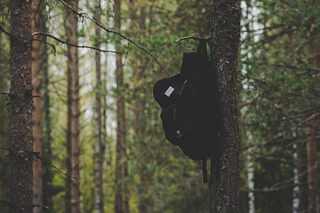 Black Backpack Hanging on Tree thumbnail