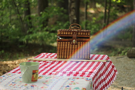 picnic bag on table thumbnail