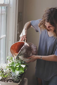 woman watering the plants thumbnail