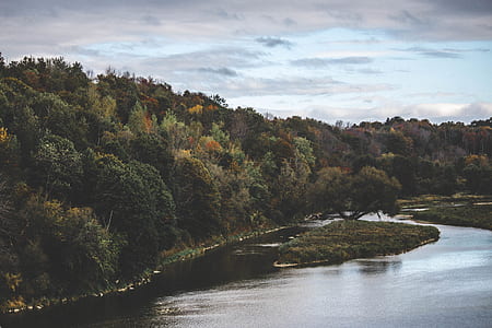 green trees beside river under blue sky thumbnail