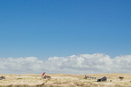 red and white shed surrounded brown grass under white and blue cloudy sky thumbnail