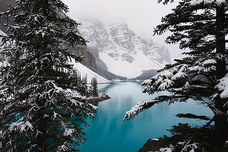 mountains and trees near body of water thumbnail