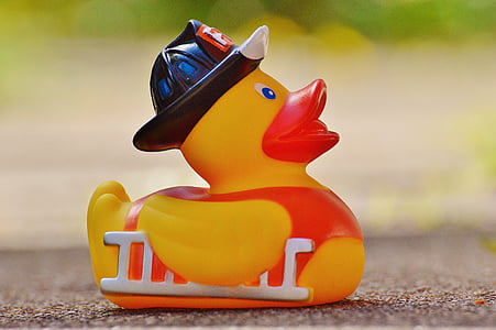 selective focus photography of yellow and red duck figurine thumbnail