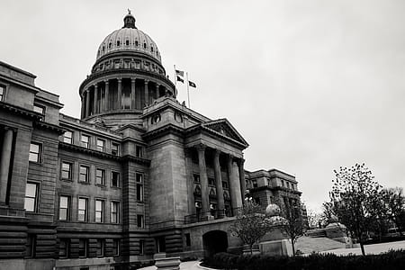 Grayscale Photo of Concrete Building thumbnail