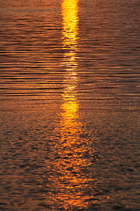 calm sea during golden hour thumbnail