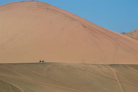 people and camels walking on desert field during daytime thumbnail