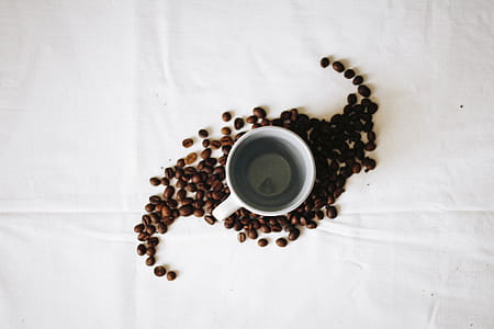 Empty White Ceramic Mug Surrounded by Coffee Grounds thumbnail