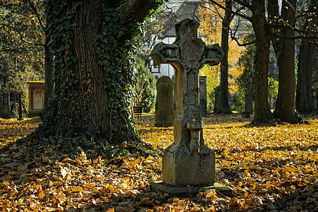 gray concrete cross grave thumbnail