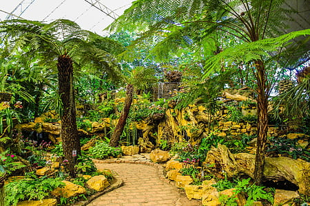 Assorted Green Plants and Trees thumbnail