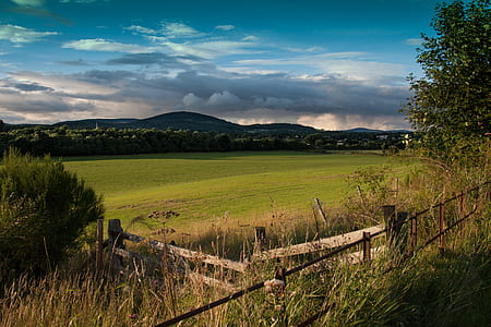 grass field in between green trees under teal cloudy sky thumbnail