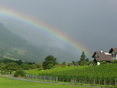 rainbow over house and green field thumbnail