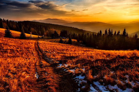 landscape photography of brown field during daytime thumbnail
