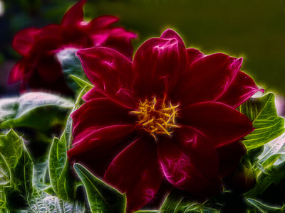 close-up photography of pink petaled flowers thumbnail
