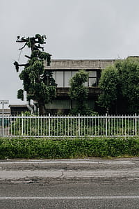 Municipal greenery thumbnail
