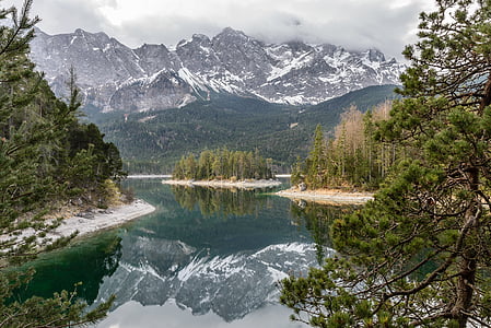 river surrounded by trees near mountain thumbnail