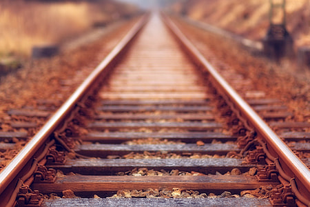 brown, metal, rail, green, soil, train track thumbnail