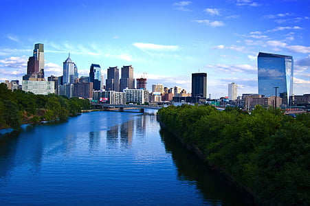 photo of a river between green trees thumbnail