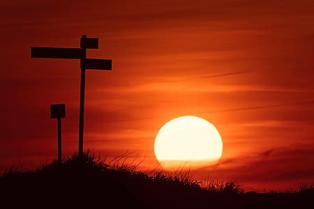 silhouette of signages during sunset thumbnail