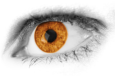 closeup photo of human eye thumbnail
