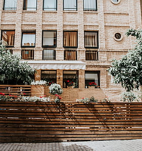 brown wooden fence with plants on top thumbnail
