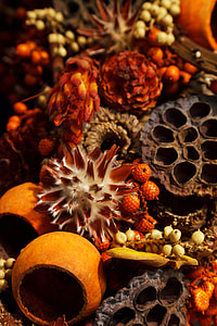 photo of dried flowers thumbnail