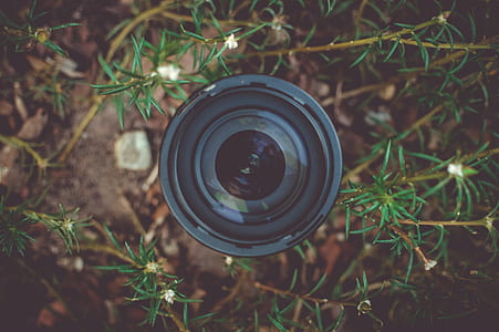 Black Dslr Camera Lens in Green Leaf Plant thumbnail