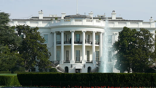 White House thumbnail