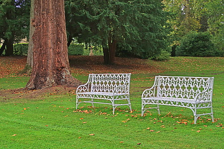 two white metal benches on grass field thumbnail