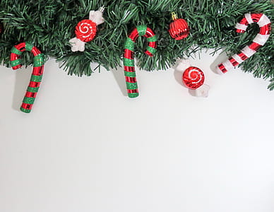 candy canes and fruits decorated Christmas raglan thumbnail