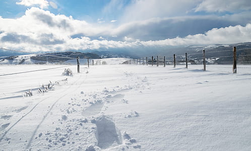 snowfield beside fence thumbnail