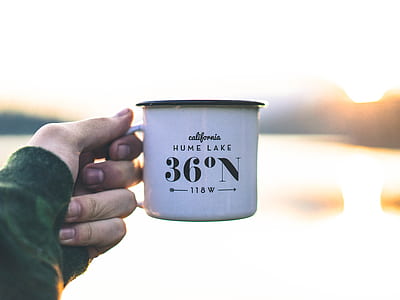 person holding white cup thumbnail