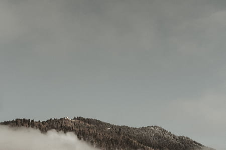 photo of mountain with trees during daytime thumbnail