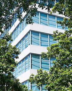 white concrete building thumbnail