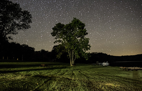 Landscape, tree, and stars at Blackhawk Lake Recreation Area, Wisconsin thumbnail