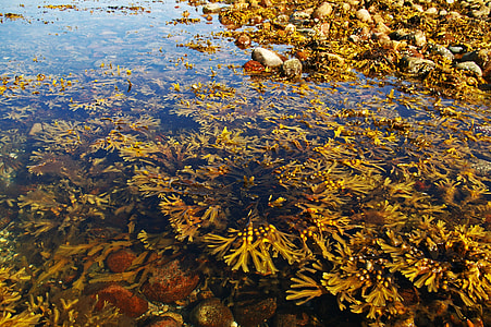 body of water thumbnail