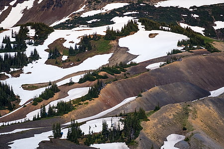 top view photo of green trees at mountain during daytime thumbnail