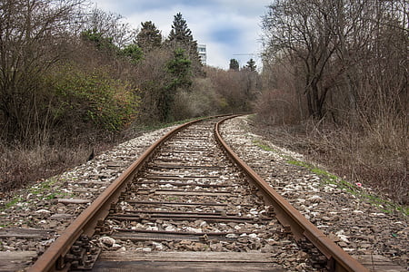 brown railway under blue and white sky surrounded by trees during daytime thumbnail