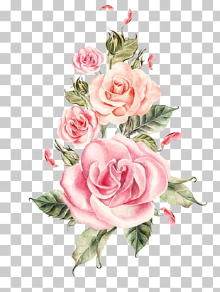 Wedding Rose Flower, Hand-painted pink roses bouquet, pink roses illustration PNG clipart